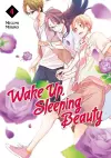 Wake Up, Sleeping Beauty 4 cover