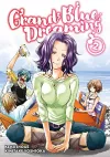 Grand Blue Dreaming 2 cover