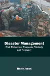 Disaster Management: Risk Reduction, Response Strategy and Recovery cover