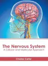 The Nervous System: A Cellular and Molecular Approach cover