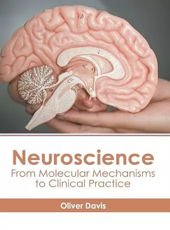 Neuroscience: From Molecular Mechanisms to Clinical Practice cover