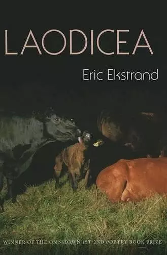 Laodicea cover