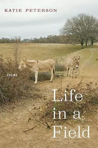 Life in a Field – Poems cover