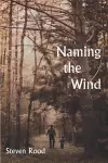 Naming the Wind cover