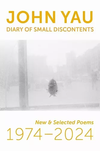 Diary of Small Discontents cover