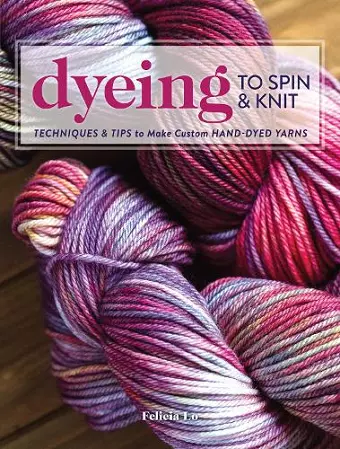 Dyeing to Spin & Knit cover