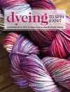 Dyeing to Spin & Knit cover