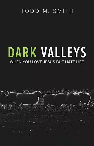 Dark Valleys cover