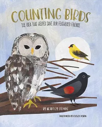 Counting Birds cover