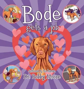 Bode Gets a Job cover