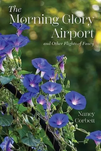 The Morning Glory Airport and Other Flights of Fancy cover