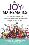 The Joy of Mathematics cover