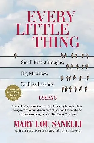 Every Little Thing cover