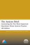 The Amicus Brief cover