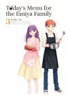 Today's Menu for the Emiya Family, Volume 3 cover