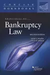 Principles of Bankruptcy Law cover