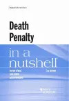 Death Penalty in a Nutshell cover