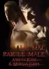 Mal Par Le Mle (Translation) cover