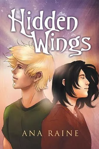Hidden Wings Volume 1 cover