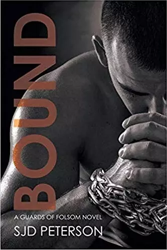 Bound Volume 5 cover