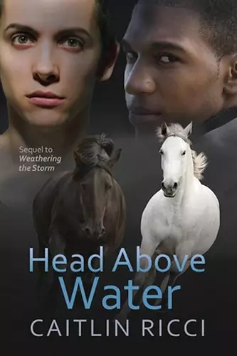 Head Above Water Volume 2 cover