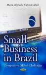 Small Business in Brazil cover