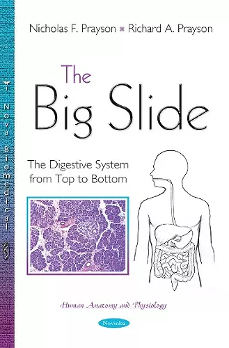 The Big Slide cover