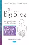 The Big Slide cover