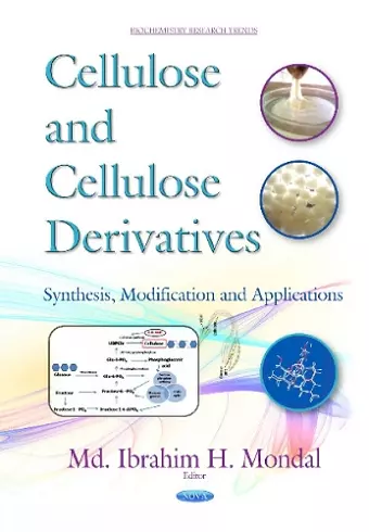 Cellulose & Cellulose Derivatives cover