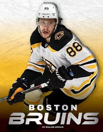 Boston Bruins cover