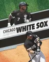 Chicago White Sox All-Time Greats cover