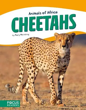 Cheetahs cover
