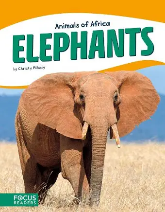 Elephants cover
