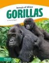 Animals of Africa: Gorillas cover