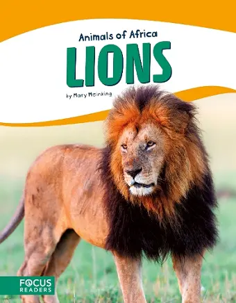 Lions cover