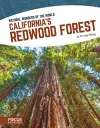California’s Redwood Forest cover
