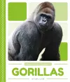 Rain Forest Animals: Gorillas cover