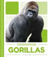 Gorillas cover