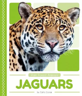 Jaguars cover