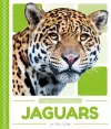 Rain Forest Animals: Jaguars cover