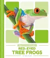 Rain Forest Animals: Red-Eyed Tree Frogs cover