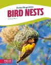 Bird Nests cover