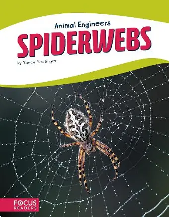 Spiderwebs cover