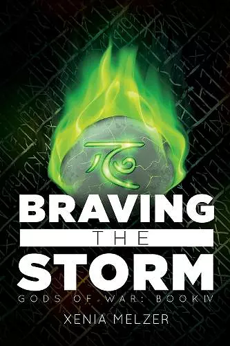 Braving the Storm Volume 4 cover