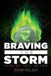 Braving the Storm Volume 4 cover