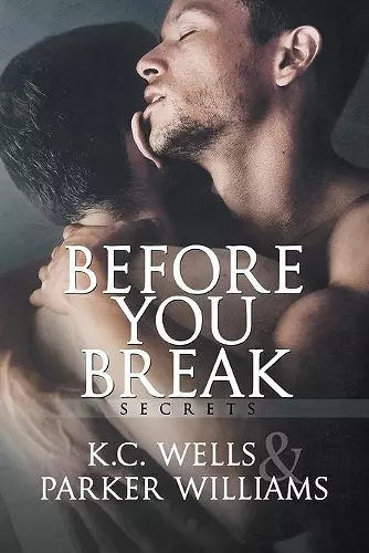 Before You Break Volume 1 cover