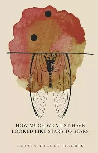 How Much We Must Have Looked Like Stars To Stars cover