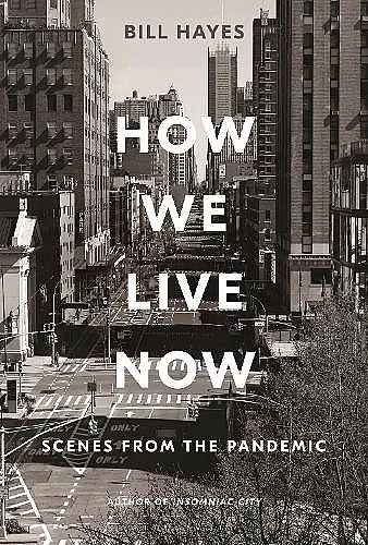 How We Live Now cover
