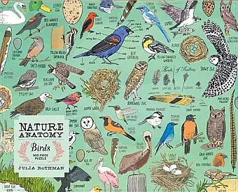 Nature Anatomy: Birds Puzzle (500 pieces) cover