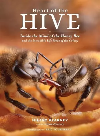 Heart of the Hive cover